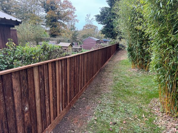Timber fence installation in Norwich