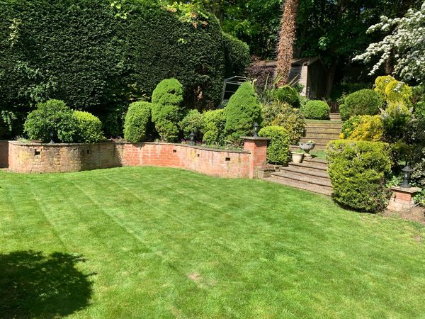 Lawn care and garden tidy in Norwich